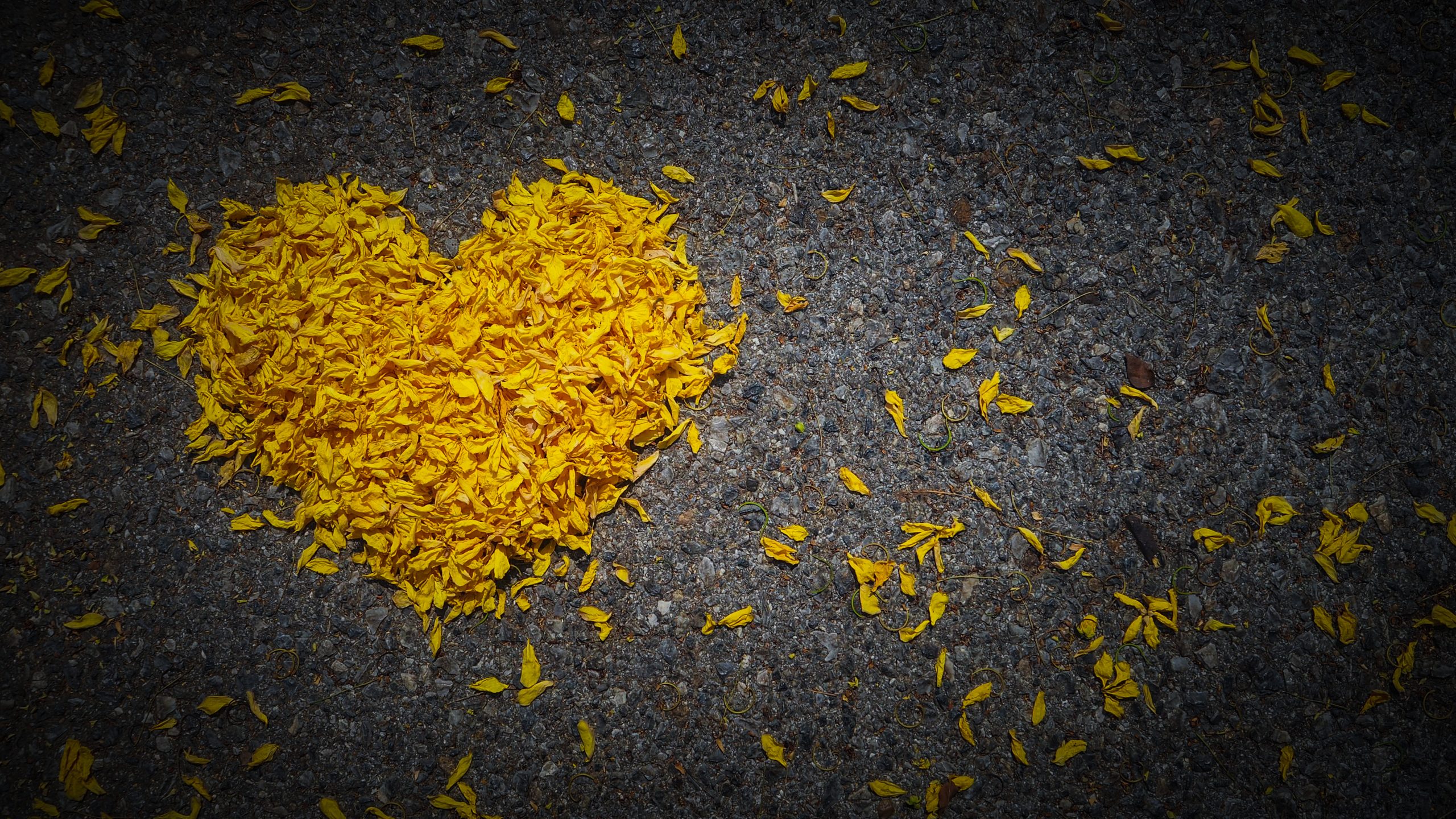 Subsidie “Impuls Geestelijke verzorging en rouw- en verliesbegeleiding thuis” verlengd