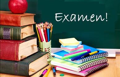 Vlog: Examenstress & Examendossier