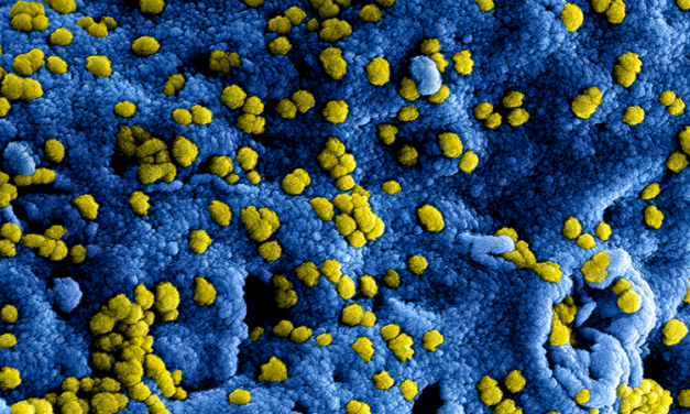 Klassecontact en coronavirus *update*