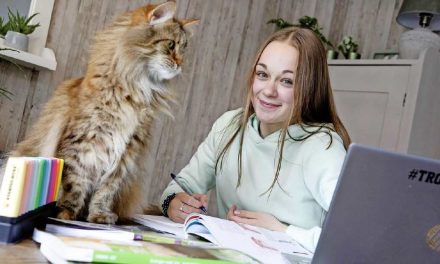 Ziek zijn en toch eindexamen doen