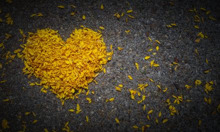 Subsidie “Impuls Geestelijke verzorging en rouw- en verliesbegeleiding thuis” verlengd